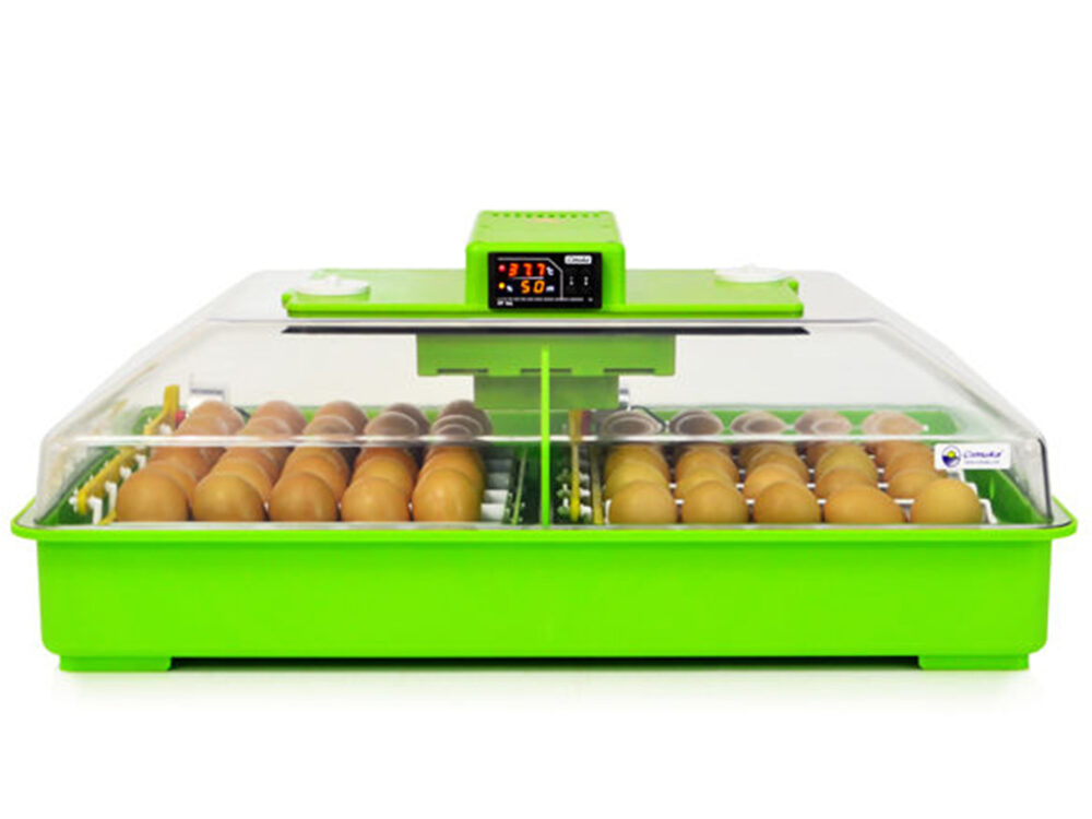 Automatická liaheň na vajcia CIMUKA PD60SH AUTOMATIC