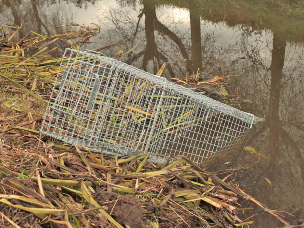 Profesionálna pasca na líšky, kuny, vydry a mačky TRAP H120x34x42 - Image 10