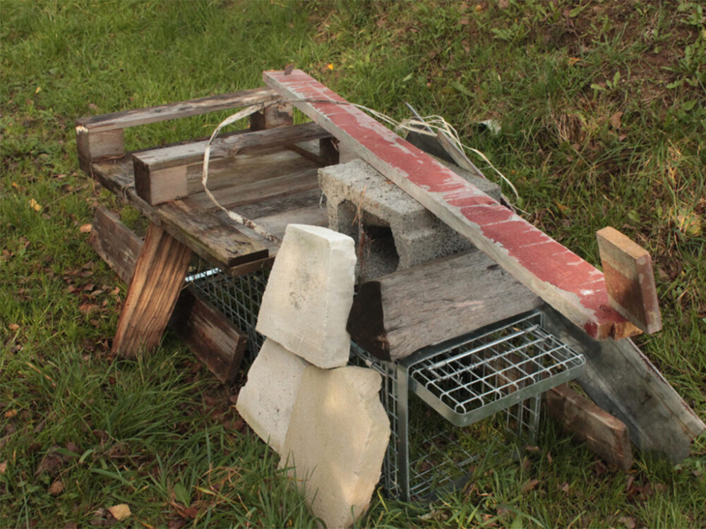 Profesionálna pasca na líšky, kuny, vydry a mačky TRAP H120x34x42 - Image 11
