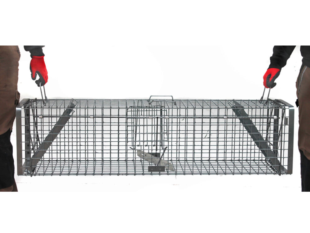 Profesionálna pasca na líšky, kuny, vydry a mačky TRAP H130x34x34V2 - Image 4