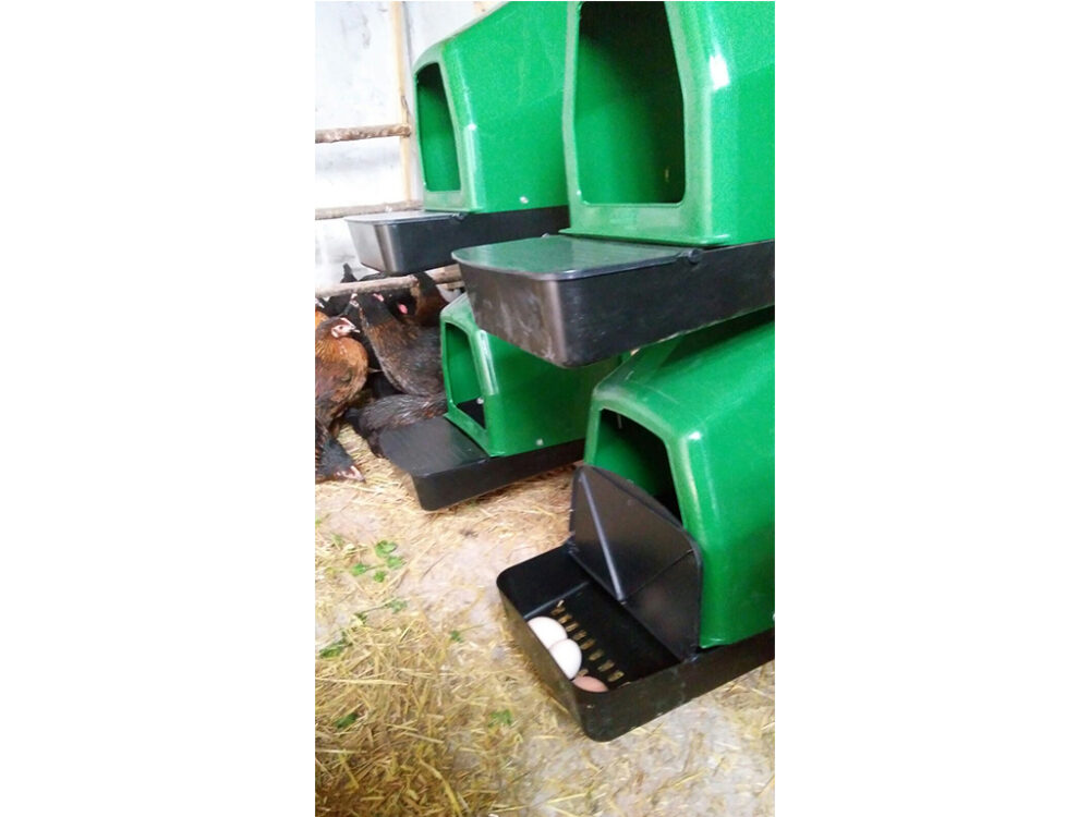 Znáškovej hniezdo pre sliepky so zberným košíkom HF 44X37X50 - Image 8